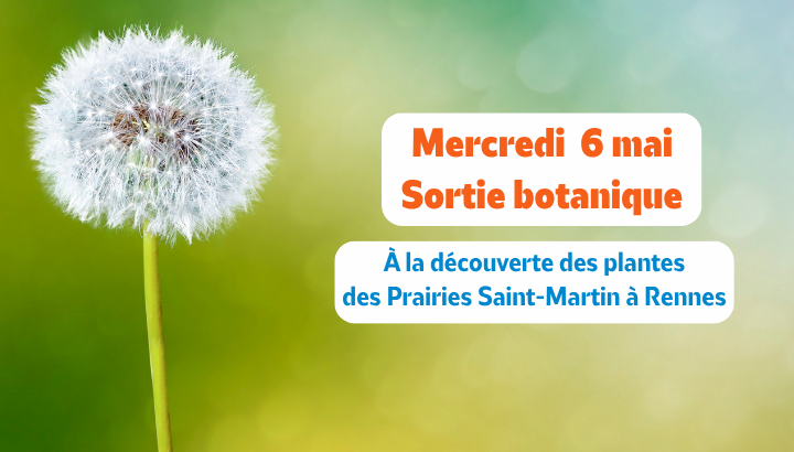 À la découverte des plantes communes des Prairies Saint-Martin